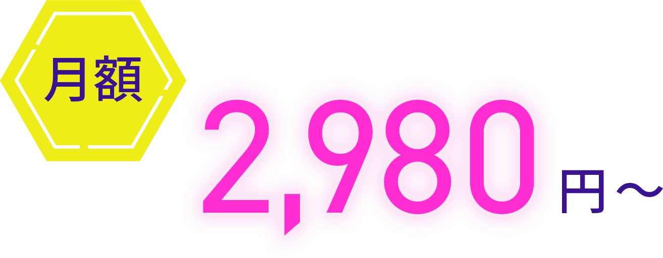 月額2,980円から
